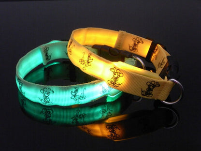 LED Halsband