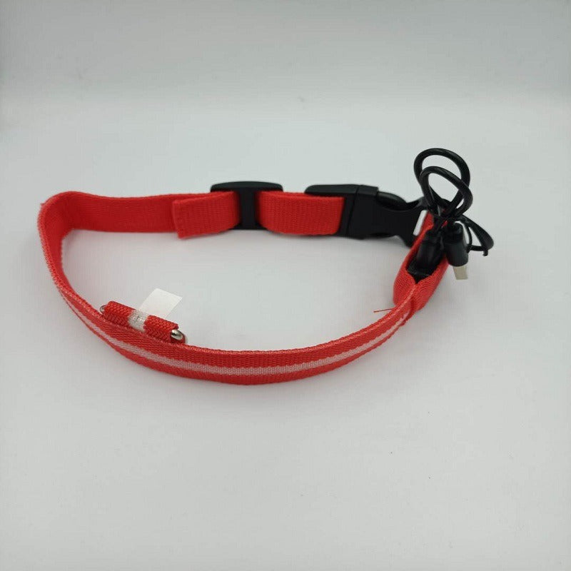 LED USB Halsband