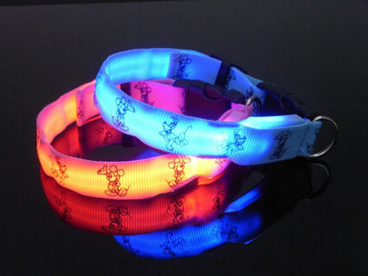 LED Halsband