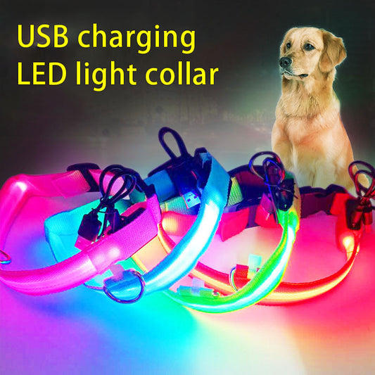 LED USB Halsband