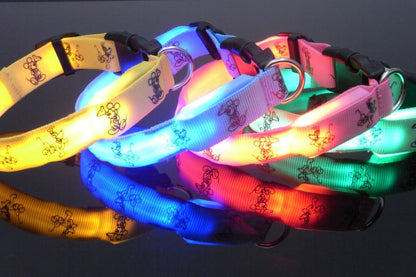 LED Halsband