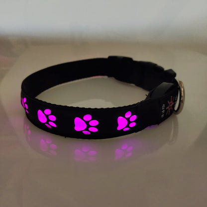 Laddningsbara LED Halsband