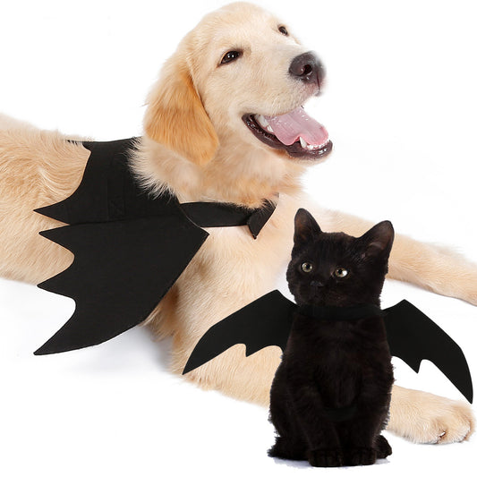 Halloween kostym katt hund