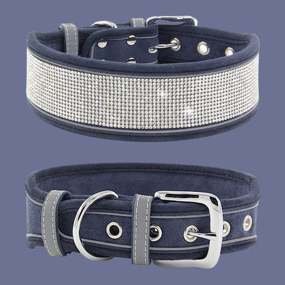 Halsband reflex