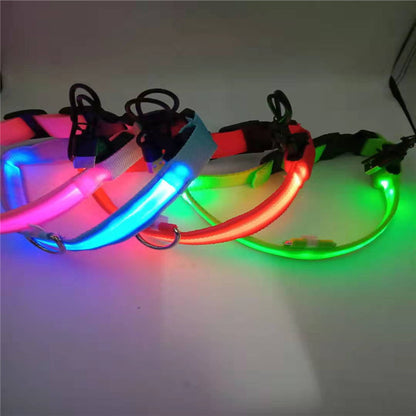 LED USB Halsband