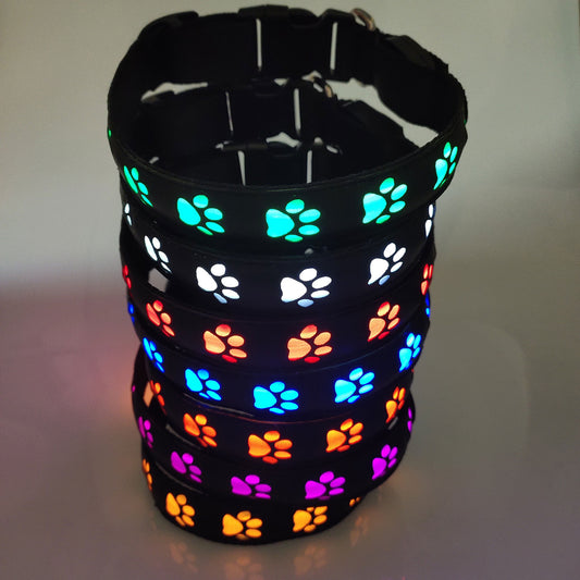 Laddningsbara LED Halsband