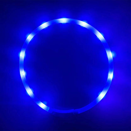 LED Halsband USB