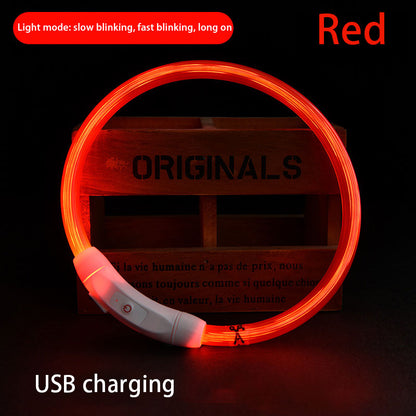 LED USB Halsband