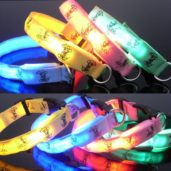 LED Halsband