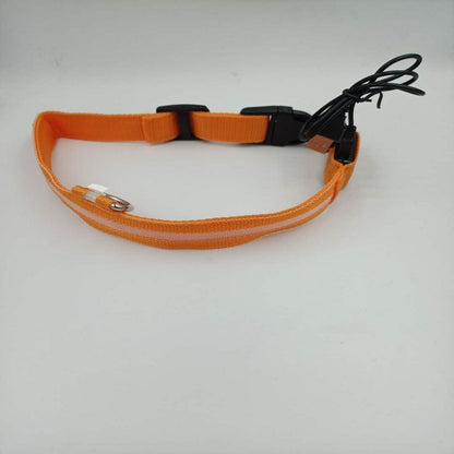 LED USB Halsband