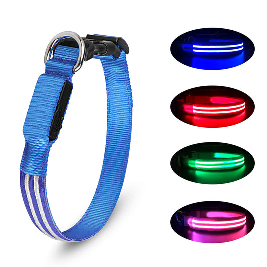 LED Halsband